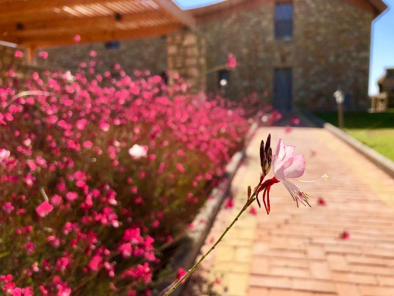 Estrella Villas Lardos Dış mekan fotoğraf