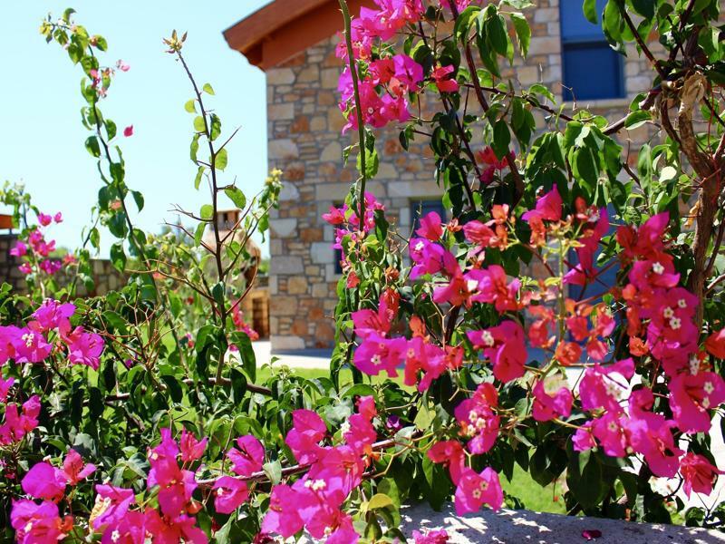 Estrella Villas Lardos Dış mekan fotoğraf