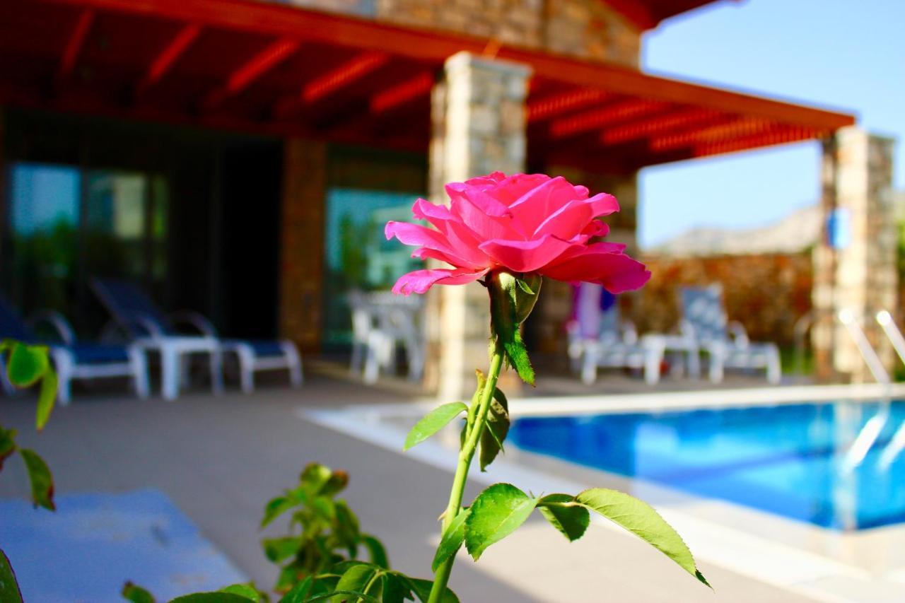 Estrella Villas Lardos Oda fotoğraf